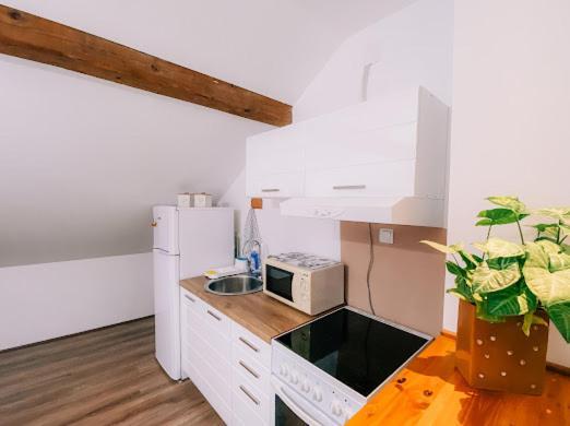 Apartman Aleksandar Lux Palić Exteriör bild
